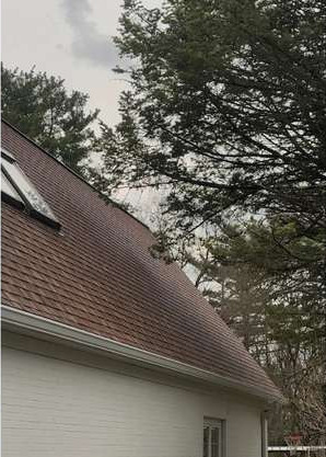 Roof Cleaning Texas Corners MI after cleaning by Swift Power & Soft Washing