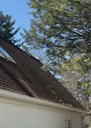 Roof Cleaning Texas Corners MI before cleaning